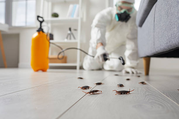 Commercial Kitchen Cockroach Control in Indian Lake